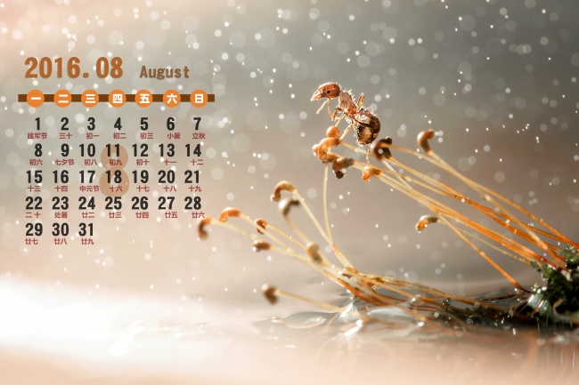 2016年8月月历图片