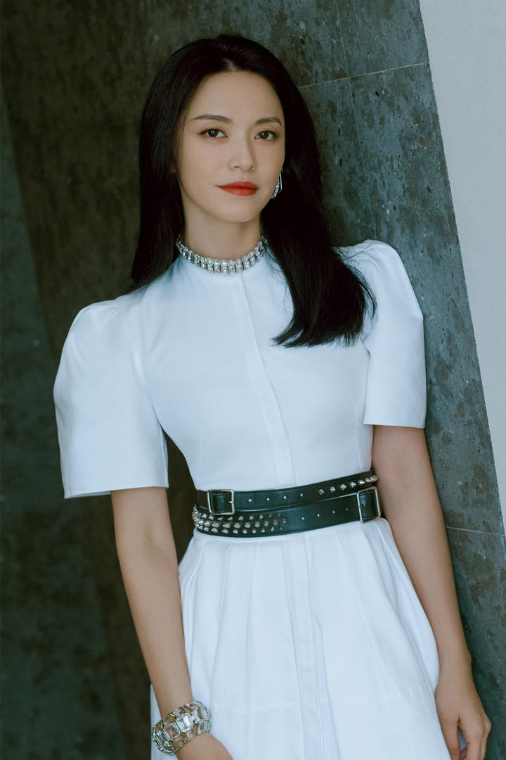 气质美女明星姚晨半身照图片