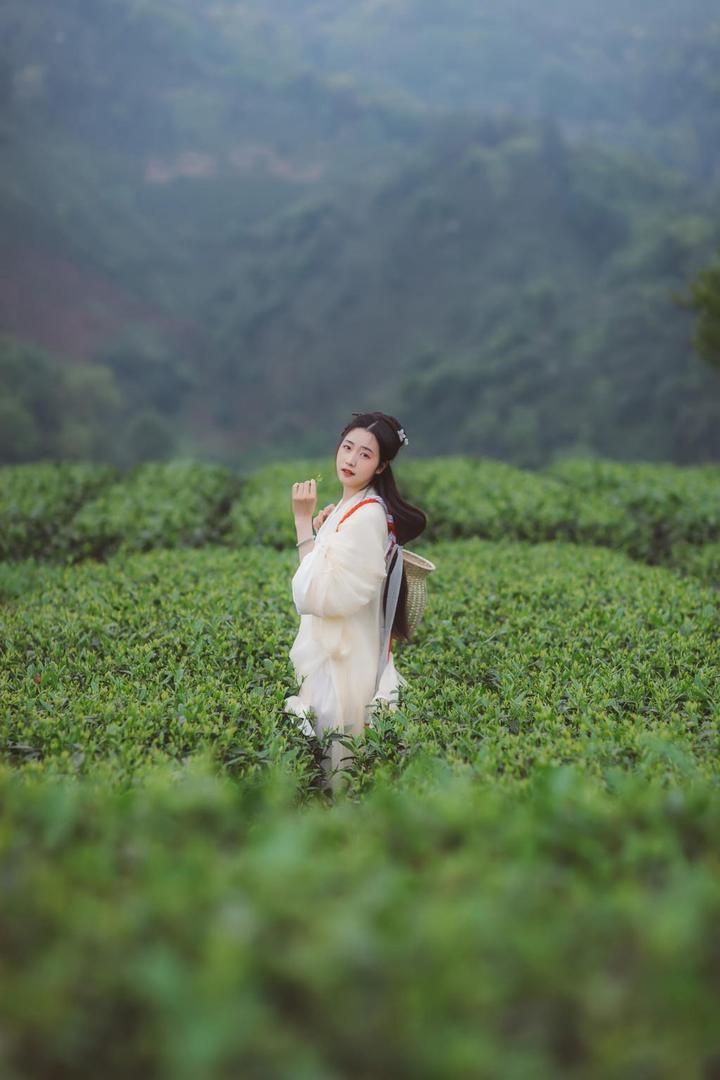 高清采茶女古装美女艺术写真图片