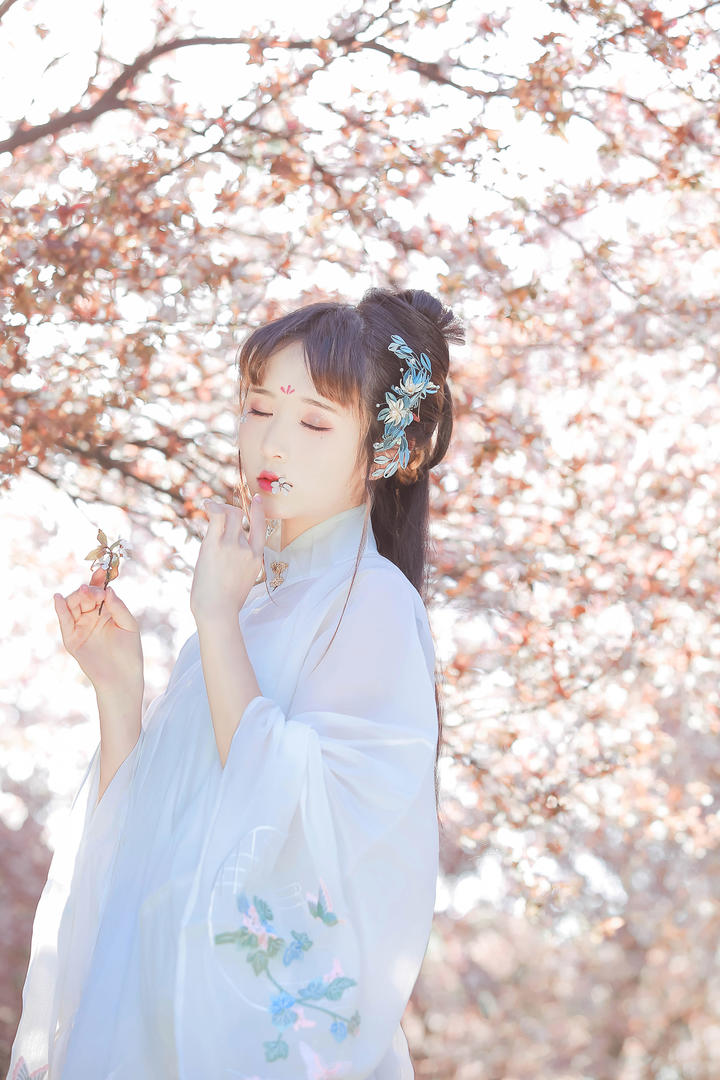超美古典汉服美女户外艺术摄影图片大全