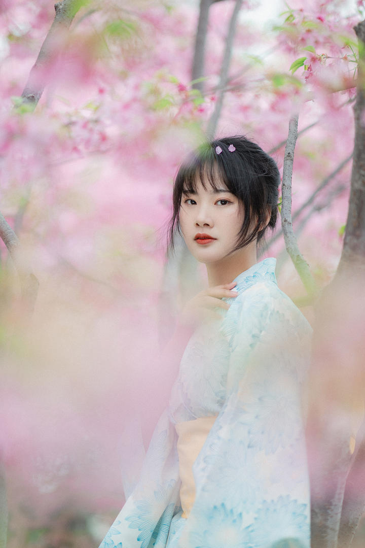 樱花树下的日本清纯古风美女艺术照图片