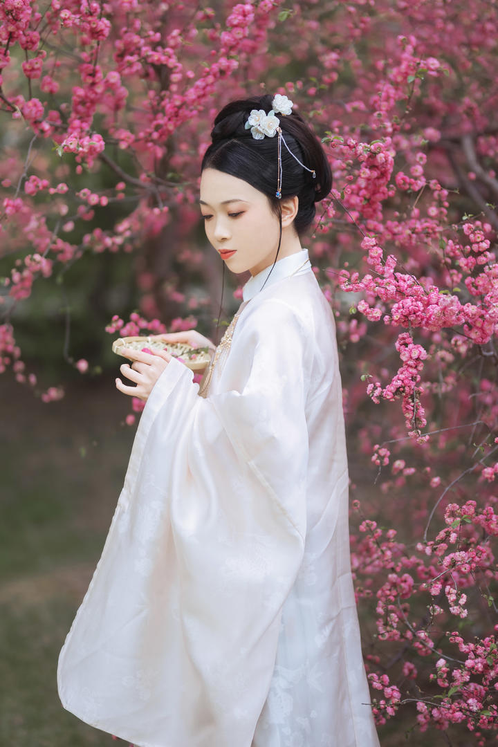 采花的白衣古风古装美女侧身艺术写真图片