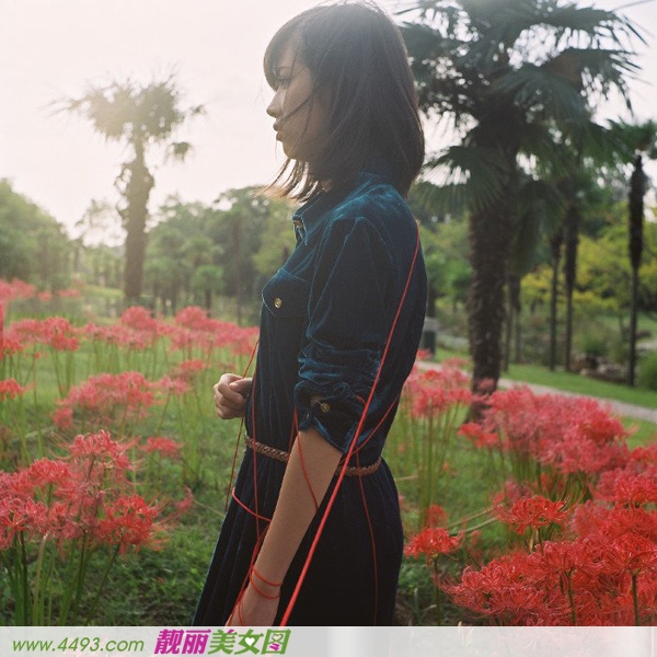 少女忧伤在昙花一现