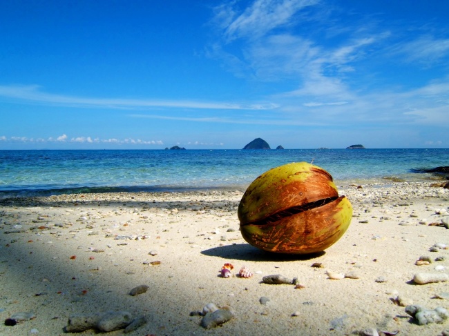 夏日海滩图片
