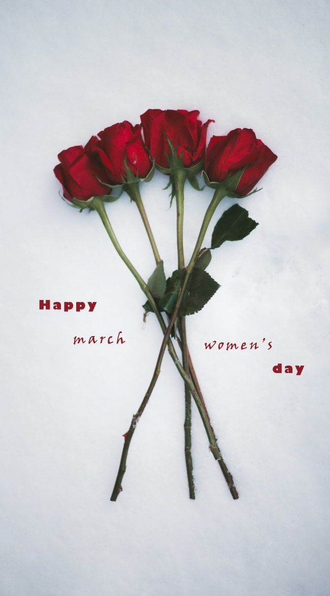 妇女节女王节玫瑰图片