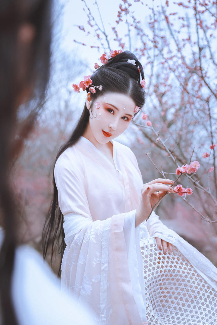 桃花林中的唯美古装美女图片