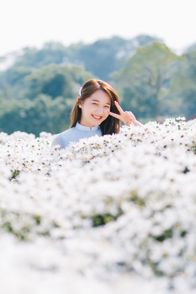 白色菊花海美女图片