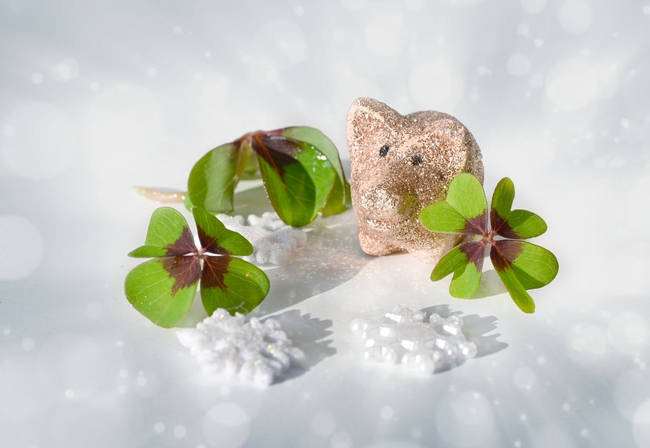 冬季雪花片四叶草图片