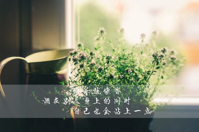 关于快乐的文字图片