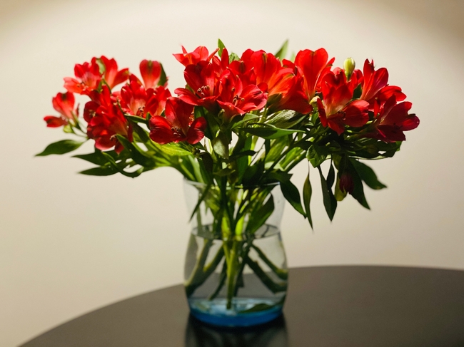 桌面红色水培插花图片