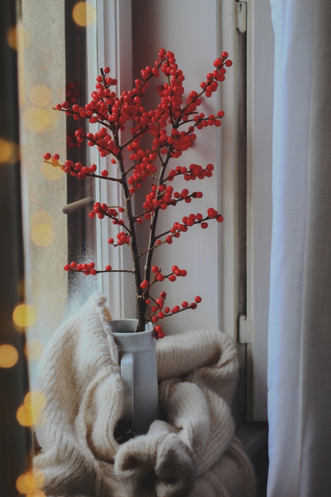 花瓶中的冬青图片