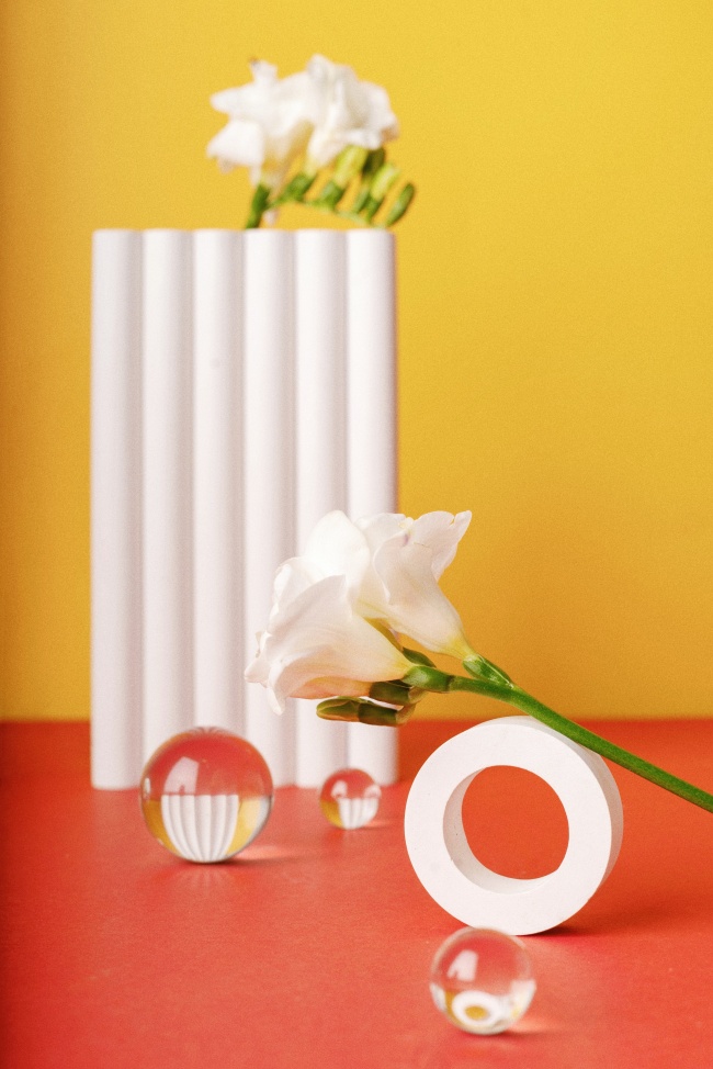 时尚静物插花图片摄影