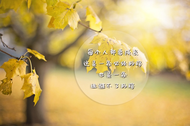 关于成长的文字图片