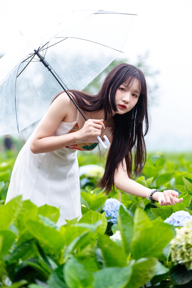 绿色菜园子撑伞美女写真图片