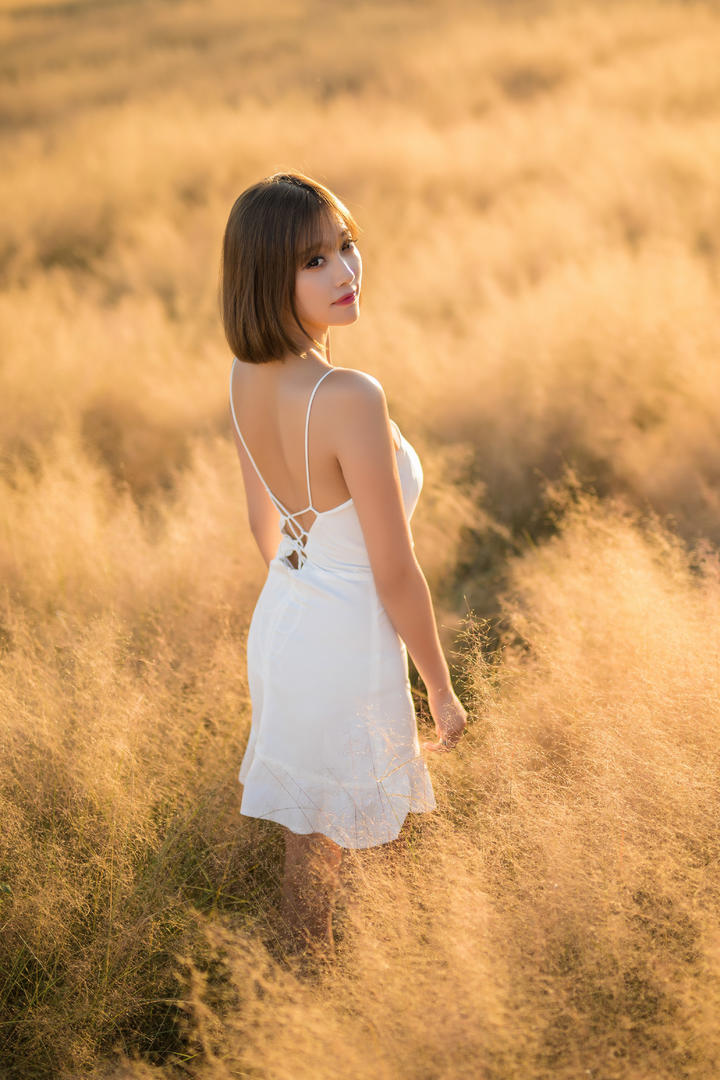 唯美草地里的气质女生背影图片