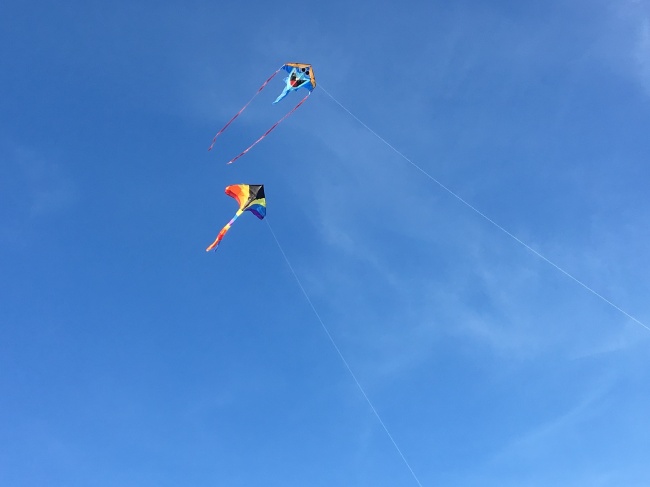 高空两只风筝图片