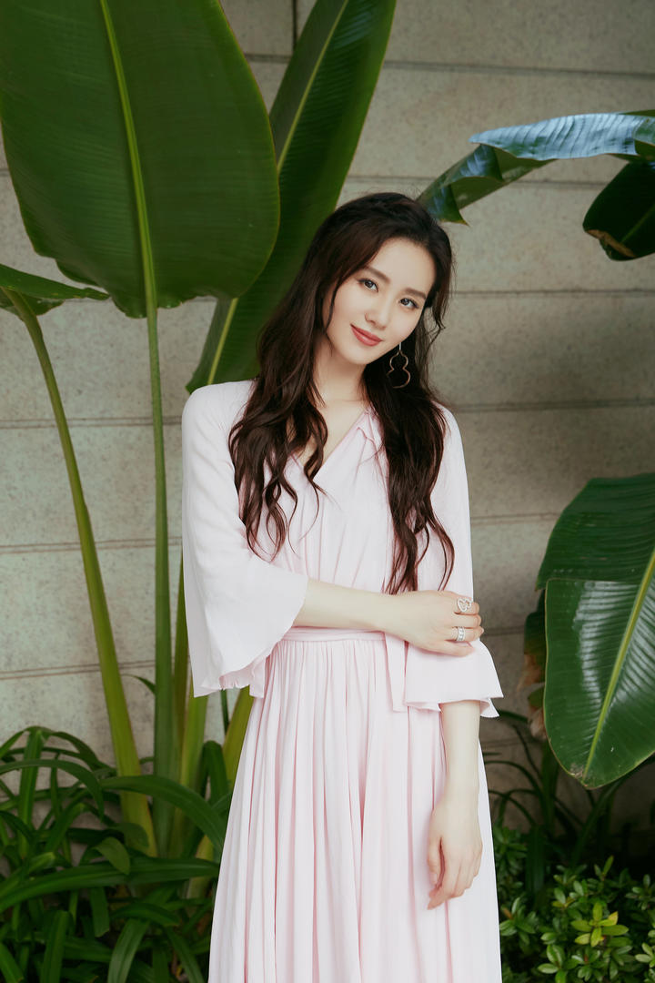 穿着粉色连衣裙的气质美女明星刘诗诗写真图片