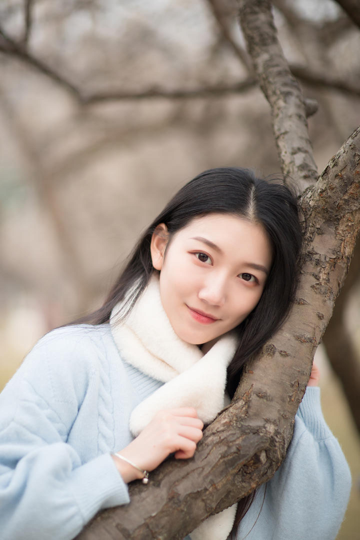抱着树的高清唯美女生头像晓洁图片