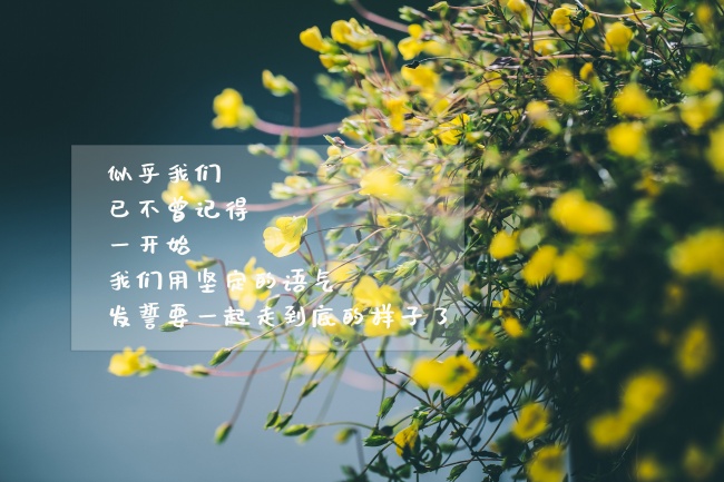 伤感心境文字图片