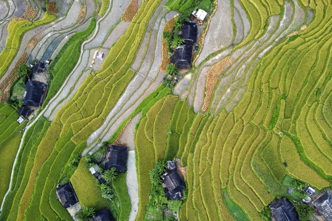 乡村梯田风光鸟瞰图