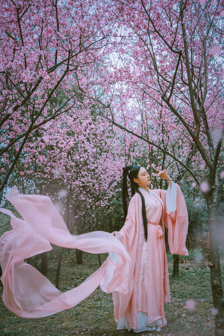 桃花林里的高清古装美女图片