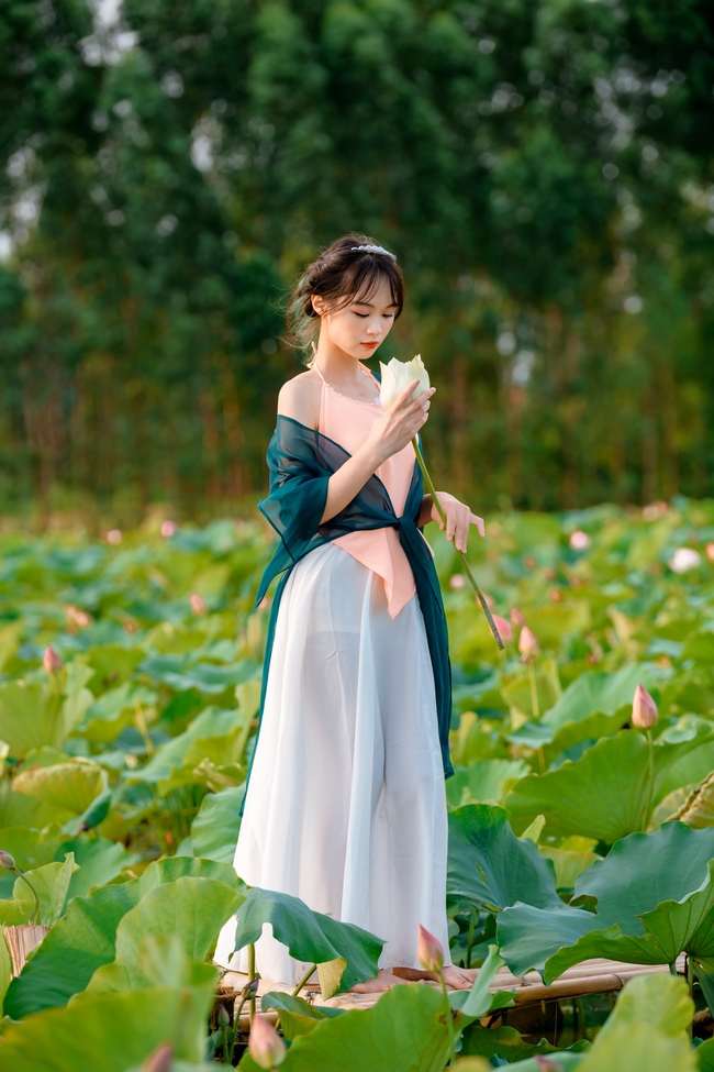 夏日荷塘古风美女人体艺术写真摄影图片