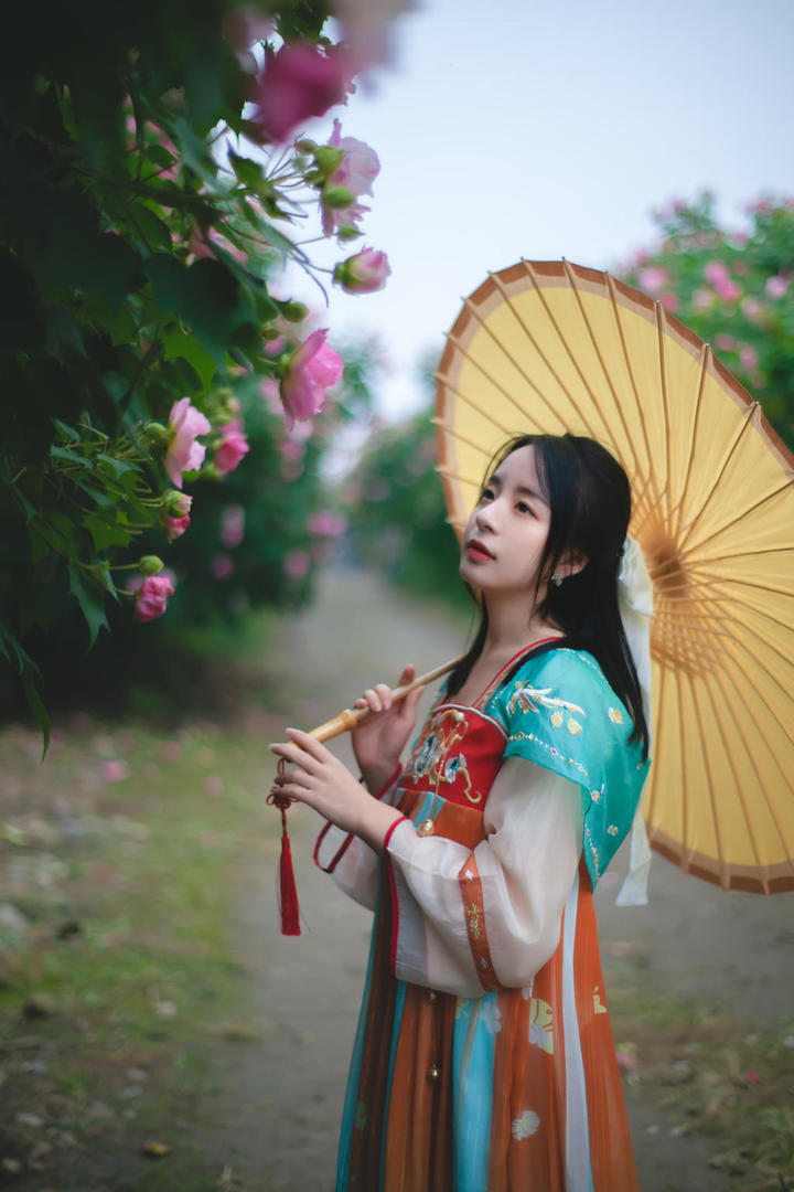 户外赏花的古装汉服美女写真图片