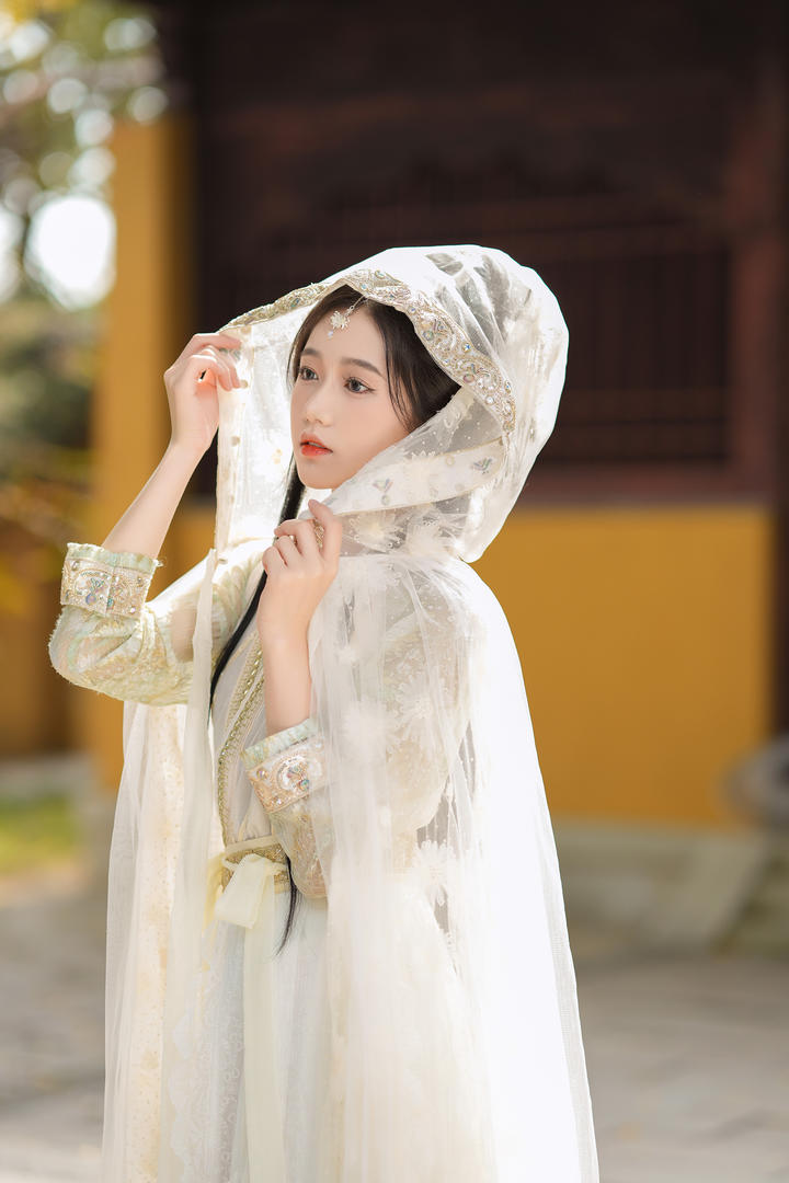 中国古典气质美女主播艺术写真套图