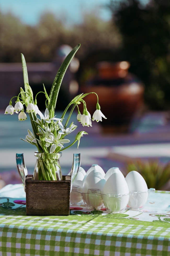 复活节彩蛋盆栽植物摄影图片
