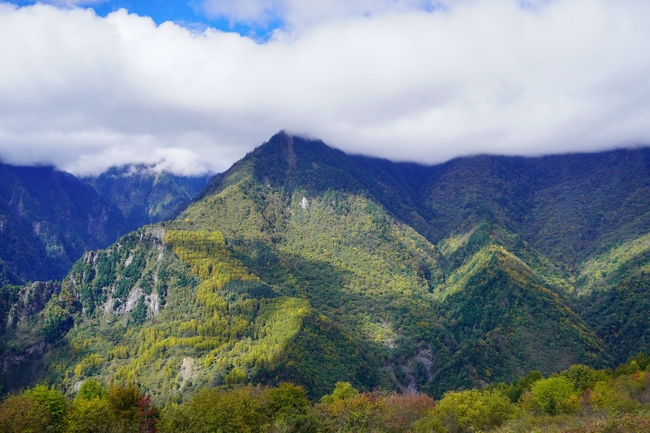 秋天高山风景图片