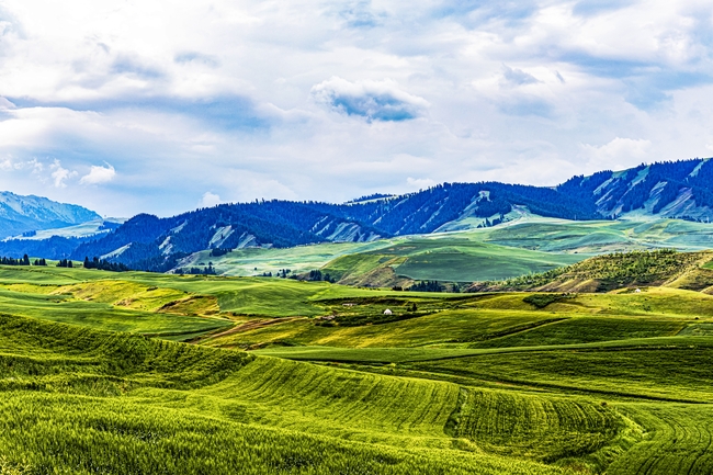 乡村高山原野草原图片