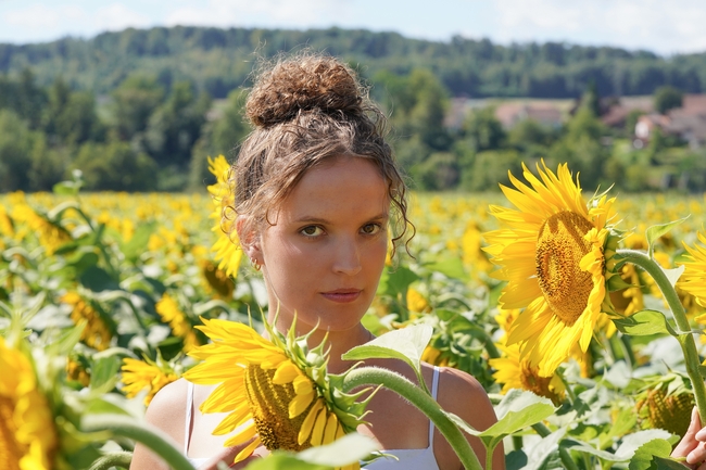 夏日向日葵花海美女写真图片