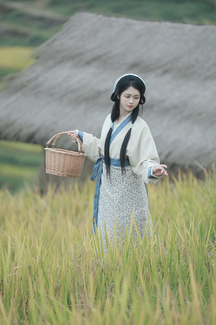 站在稻田里的清纯古装美女高清图片