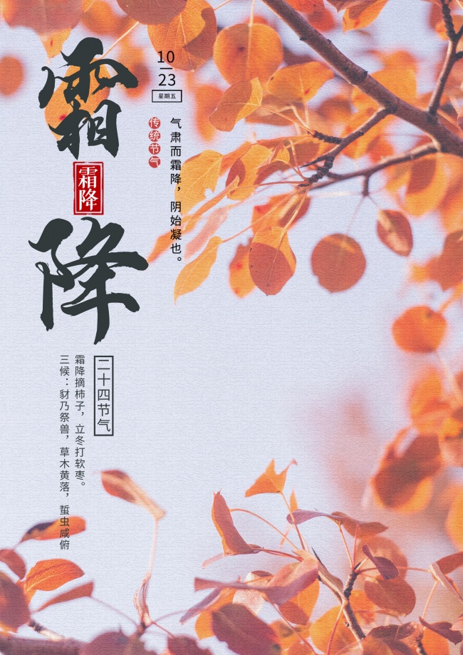 2021年霜降图片