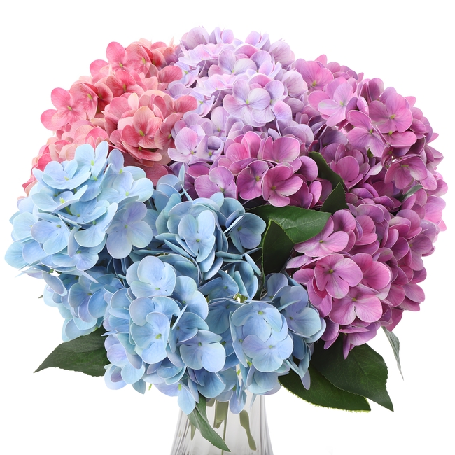 彩色绣球花插花图片