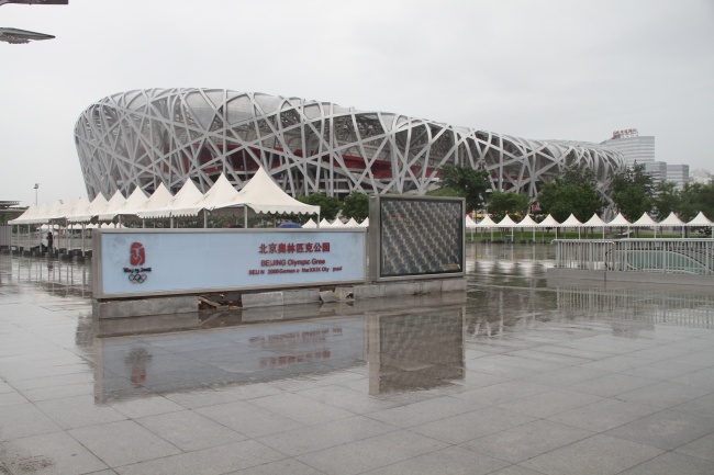 高清鸟巢图片
