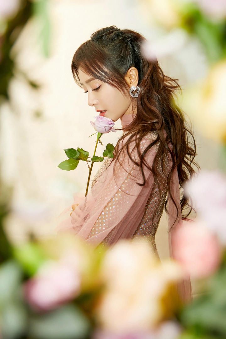 拿着玫瑰花的高清美女明星秦岚写真图片