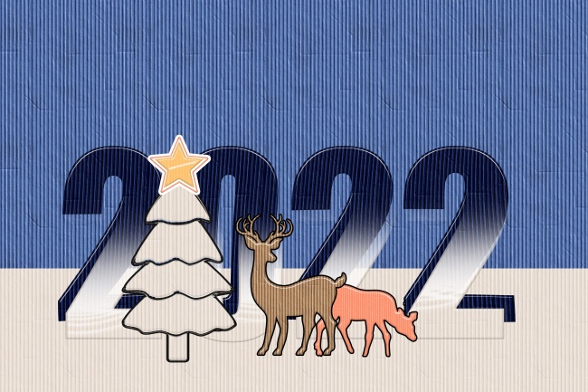 2022年圣诞节图片