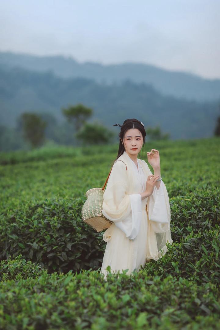 采茶叶的唯美古装美女图片