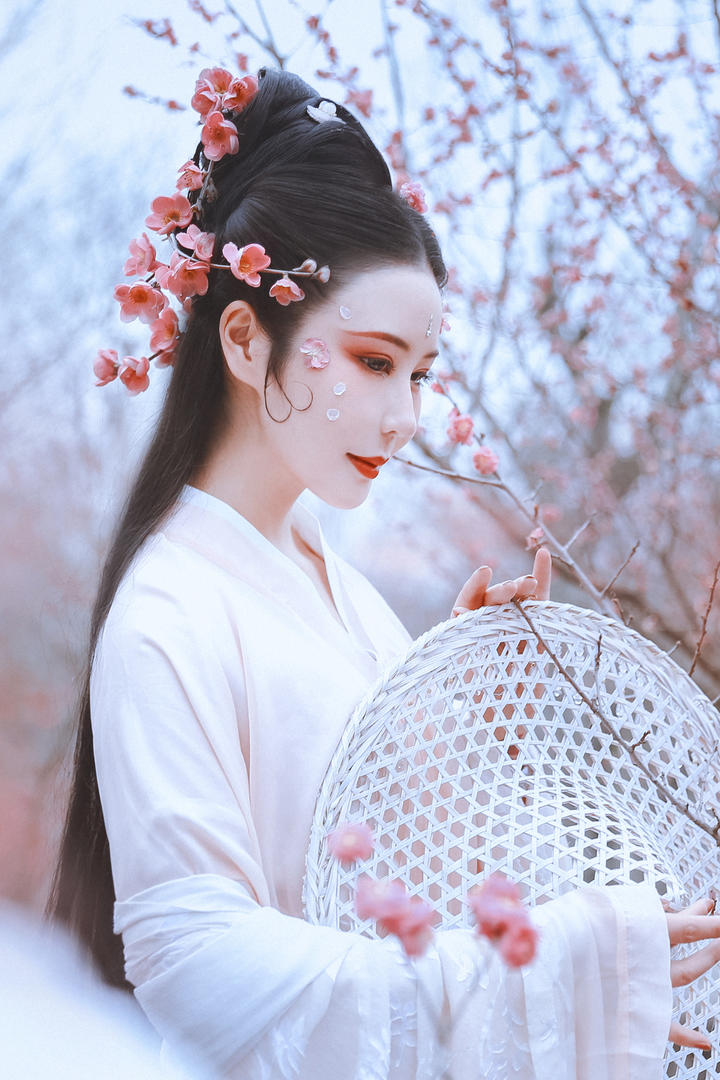 梅花林里的古典气质美女图片