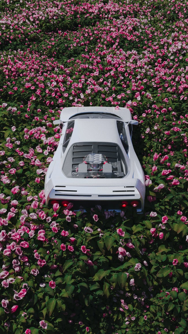 花海白色汽车图片
