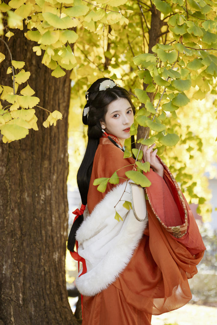 沉鱼落雁之姿的红色古装美女图片