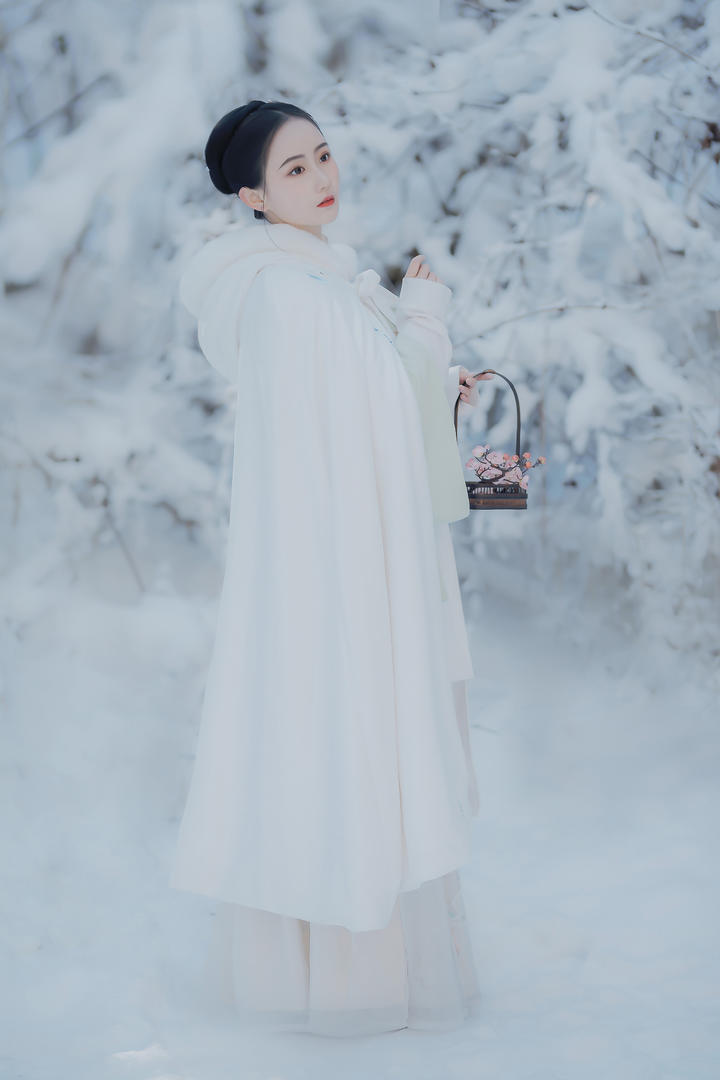 踏雪寻梅的白衣古装美女艺术照图片