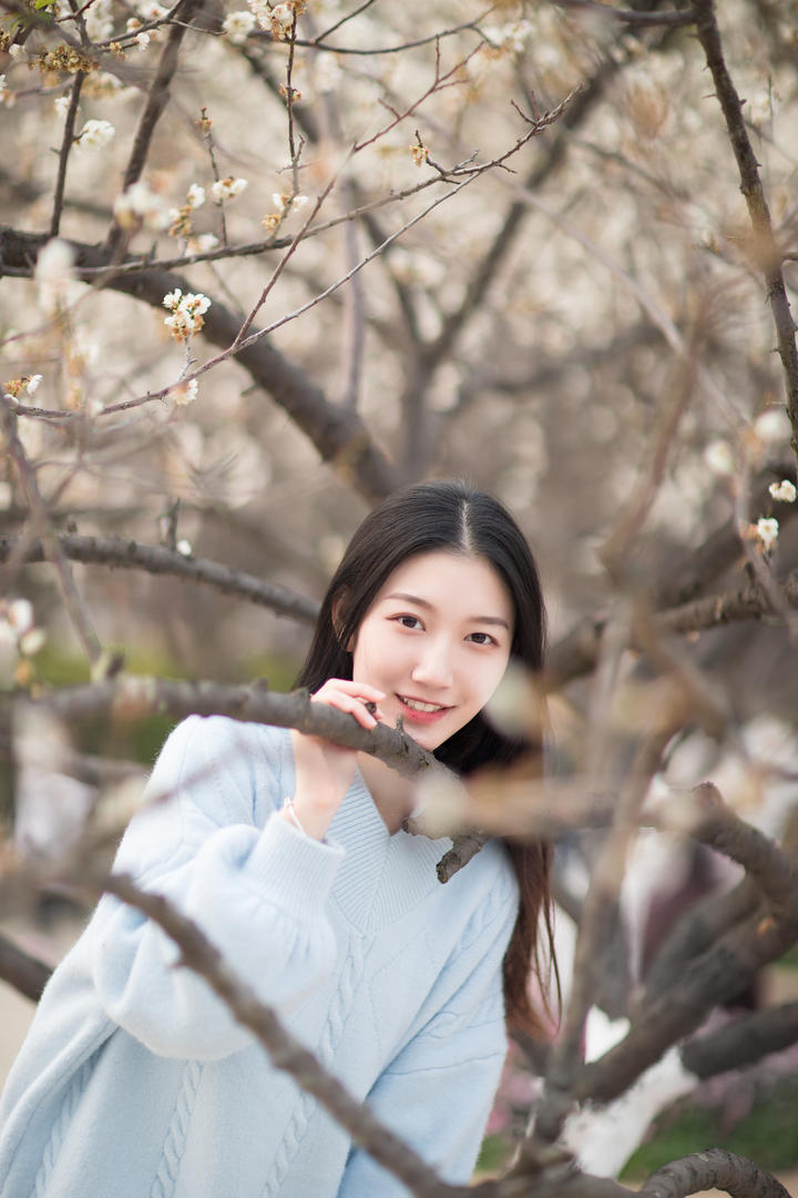 靠在树枝上的唯美女生头像晓洁户外美女摄影图片