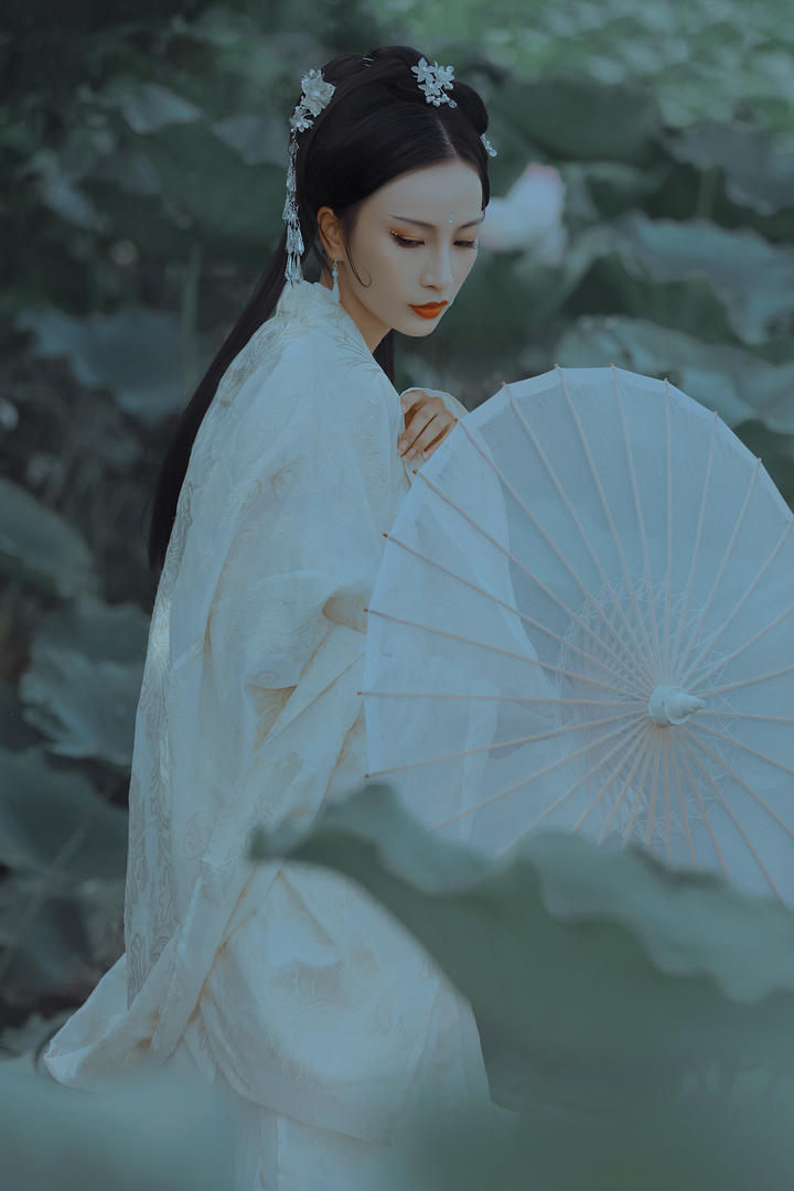 荷花池中的古装美女图片