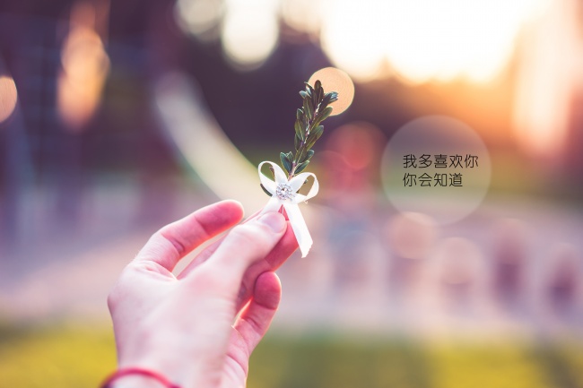 唯美爱情文字图片