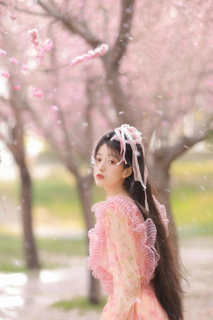 樱花树下的清纯唯美女生高清手机壁纸图片下载