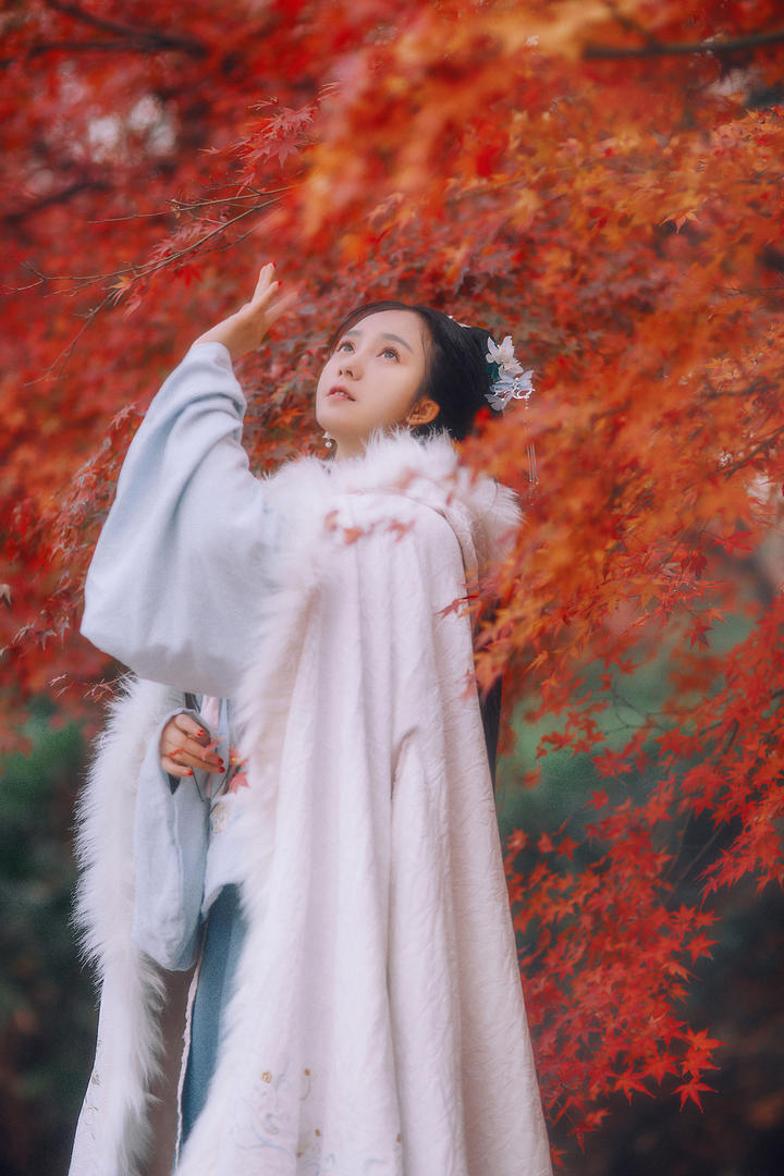 观赏枫叶的高清古装美女图片