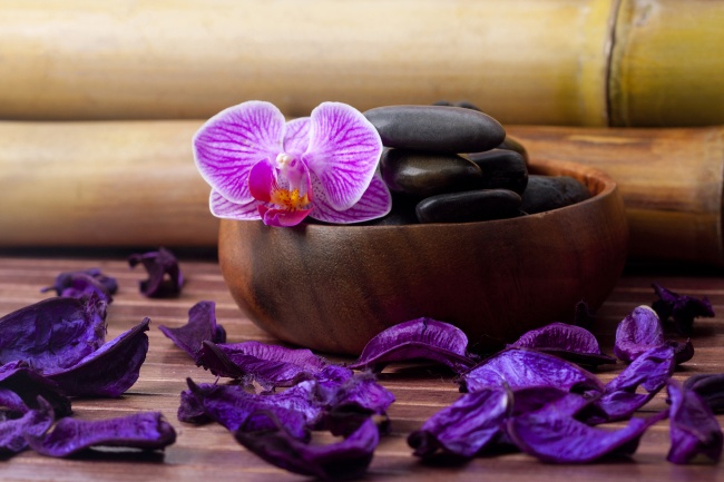 研钵鹅卵石蝴蝶兰图片