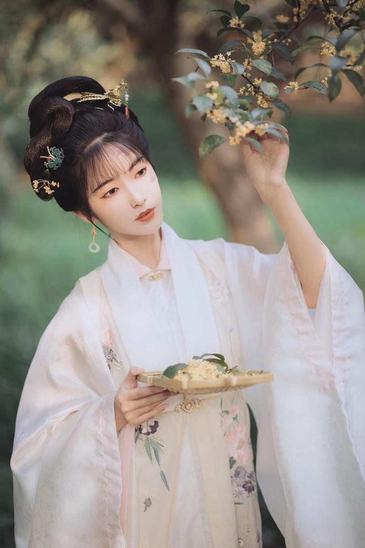 采摘桂花的清纯古装美女写真图片